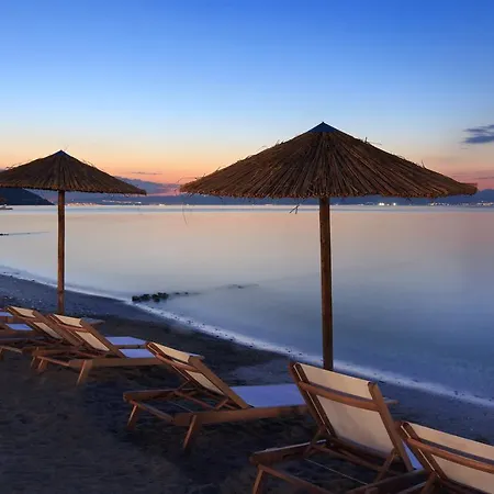 By The Sea Luxury Apartment *